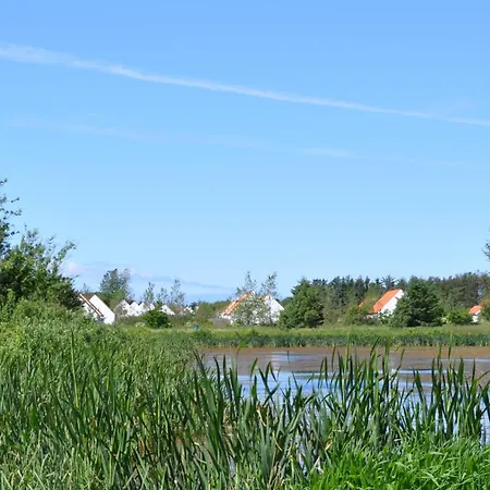 Skagen Center 4*
