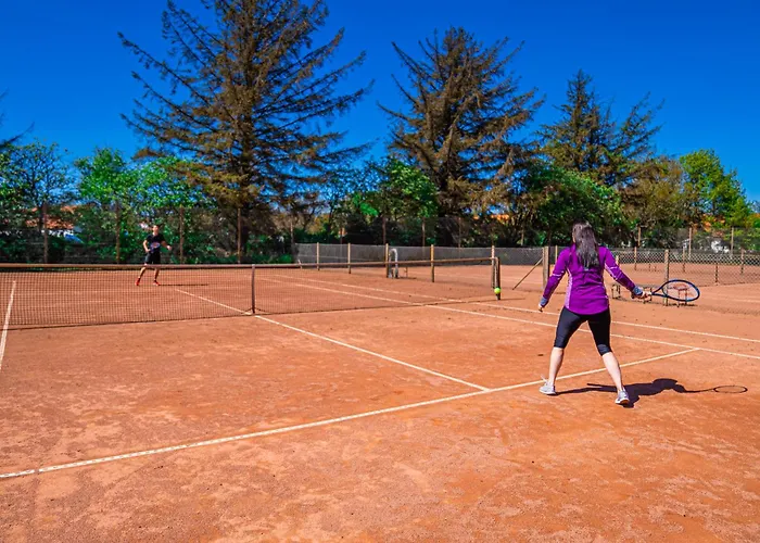 Semesteranläggning (resort) Skagen Center Hulsig