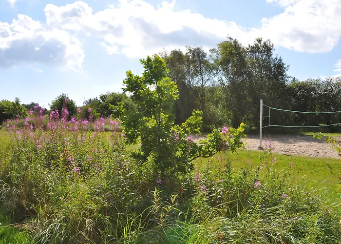 Semesteranläggning (resort) Skagen Center Hulsig