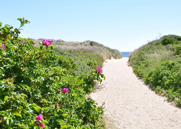 Semesteranläggning (resort) Skagen Center Hulsig