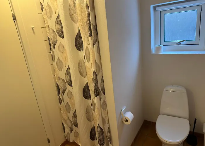 Skagen Center Hulsig